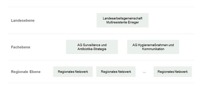 Organigramm mit drei Ebenen: Landesebene mit Landesarbeitsgemeinschaft, Fachebene mit zwei Arbeitsgruppen, Regionale Ebene mit mehreren Netzwerken.