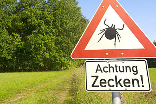Ein Warnschild mit einer Zecke und der Schrift "Achtung Zecken" steht vor einem Waldweg.