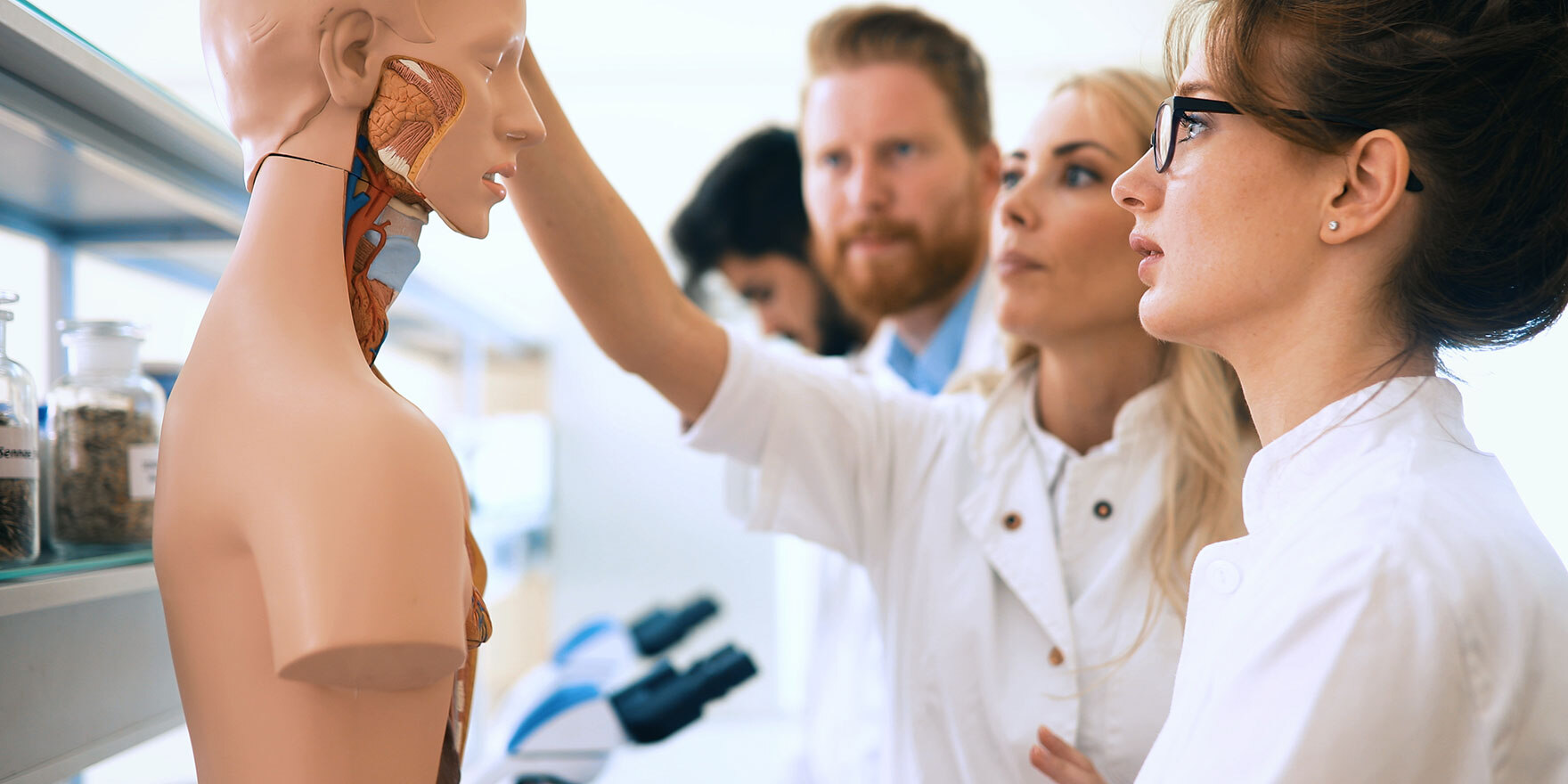 Studenten der Medizin untersuchen anatomisches Modell im Klassenzimmer