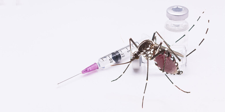 Spritze mit rosa Kanüle, Impfstoff-Fläschchen und Tigermücke auf weißem Hintergrund, Symbol für Gelbfieber-Impfung.