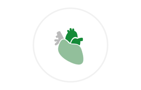 Stilisiertes Herz-Symbol in Grüntönen auf weißem Hintergrund.
