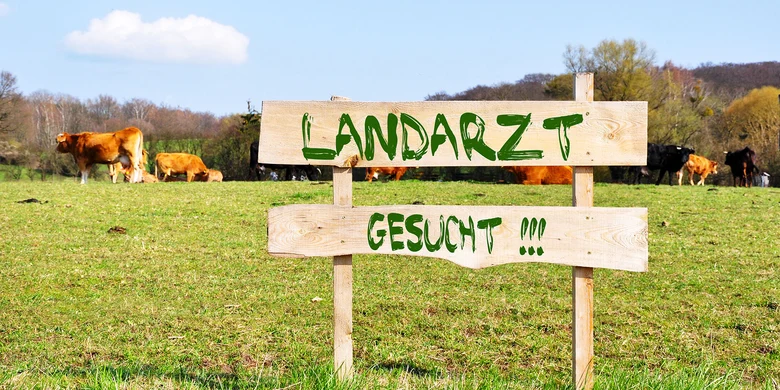 Holzschild auf Weide mit Aufschrift „LANDARZT GESUCHT !!!" und Rindern im Hintergrund. Ländliche Umgebung.