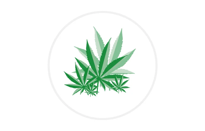 Illustration Cannabisblätter in grünen Farbtönen in rundem Rahmen.