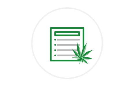 Icon Dokument mit Liste und Cannabisblatt in grünem Rahmen.