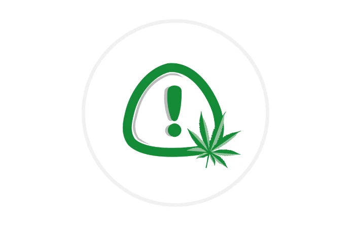 Icon Warndreieck mit Ausrufezeichen und Cannabisblatt in grün auf weißem Grund.