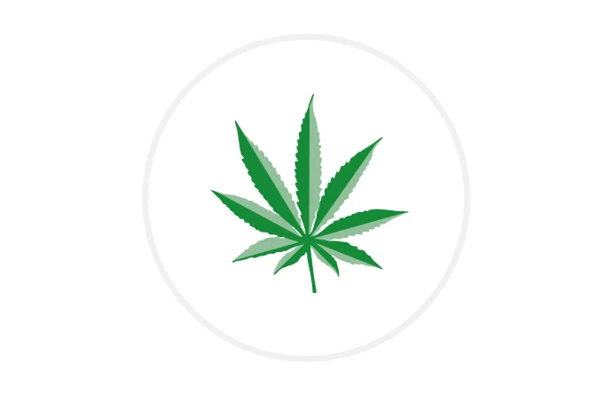Icon Cannabisblatt in grün auf weißem Grund.
